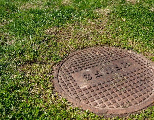 Sewer plate and grass